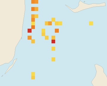 Satellite floating-algae map near Bimini, Dec 2025 (opens full map image in a new tab)