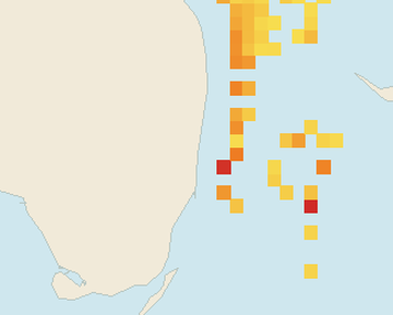 Satellite floating-algae map near Fort Lauderdale, Dec 2025 (opens full map image in a new tab)