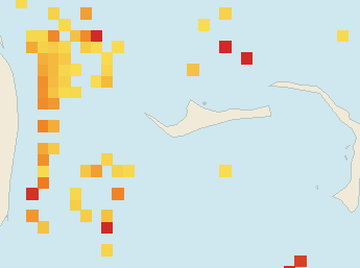 Satellite floating-algae map near Grand Bahama, Dec 2025 (opens full map image in a new tab)