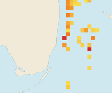Satellite floating-algae map near Miami Beach, Dec 2025 (opens full map image in a new tab)