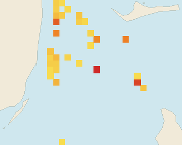Satellite floating-algae map near Bimini, Jan 2026 (opens full map image in a new tab)