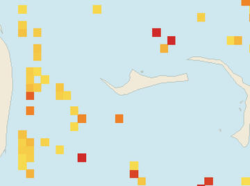 Satellite floating-algae map near Grand Bahama, Jan 2026 (opens full map image in a new tab)