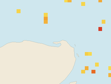 Satellite floating-algae map near Isla Holbox, Jan 2026 (opens full map image in a new tab)