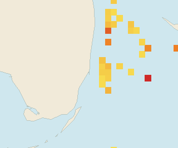Satellite floating-algae map near Miami Beach, Jan 2026 (opens full map image in a new tab)