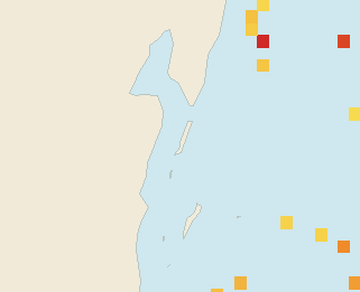 Satellite floating-algae map near Ambergris Caye, Feb 2026 (opens full map image in a new tab)