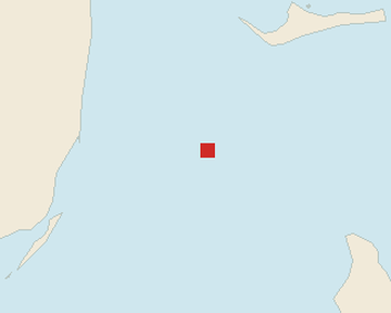 Satellite floating-algae map near Bimini, Feb 2026 (opens full map image in a new tab)
