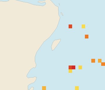 Satellite floating-algae map near Cozumel (west coast), Feb 2026 (opens full map image in a new tab)