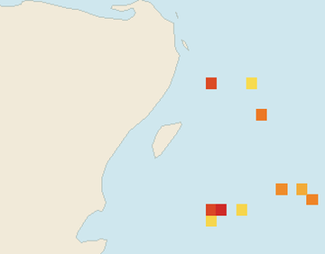 Satellite floating-algae map near Puerto Aventuras, Feb 2026 (opens full map image in a new tab)