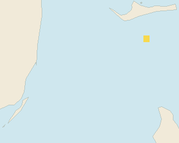 Satellite floating-algae map near Bimini, Mar 2026 (opens full map image in a new tab)