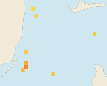 Satellite floating-algae map near Bimini, Apr 2026 (opens full map image in a new tab)