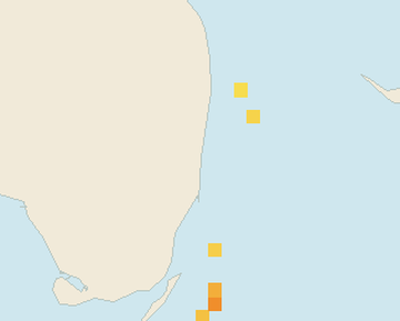 Satellite floating-algae map near Fort Lauderdale, Apr 2026 (opens full map image in a new tab)