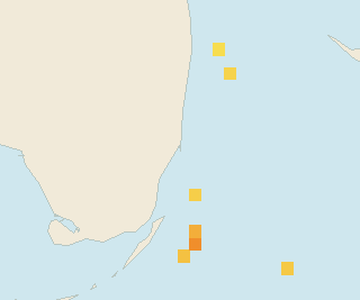 Satellite floating-algae map near Miami Beach, Apr 2026 (opens full map image in a new tab)