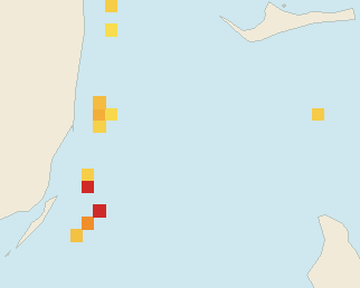 Satellite floating-algae map near Bimini, May 2026 (opens full map image in a new tab)