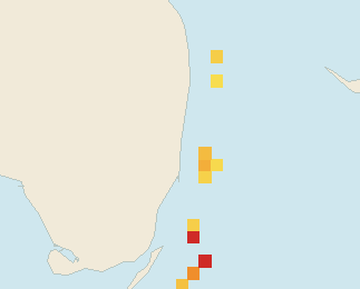 Satellite floating-algae map near Fort Lauderdale, May 2026 (opens full map image in a new tab)