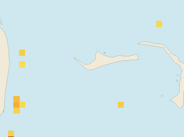 Satellite floating-algae map near Grand Bahama, May 2026 (opens full map image in a new tab)