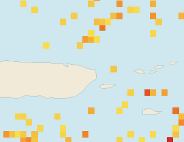 Satellite floating-algae map near Luquillo, May 2026 (opens full map image in a new tab)