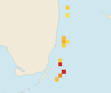 Satellite floating-algae map near Miami Beach, May 2026 (opens full map image in a new tab)