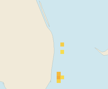 Satellite floating-algae map near Palm Beach, May 2026 (opens full map image in a new tab)