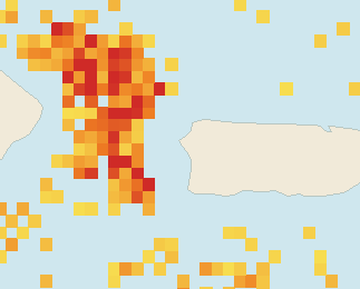 Satellite floating-algae map near Rincon, May 2026 (opens full map image in a new tab)