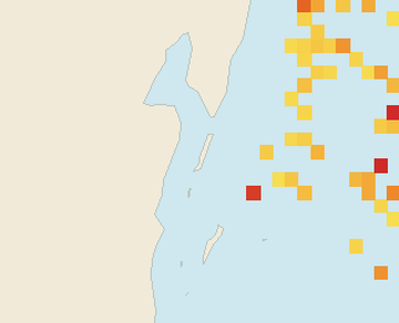 Satellite floating-algae map near Ambergris Caye, Jun 2026 (opens full map image in a new tab)
