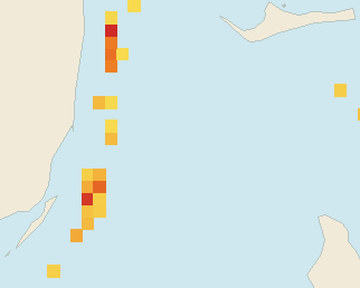 Satellite floating-algae map near Bimini, Jun 2026 (opens full map image in a new tab)