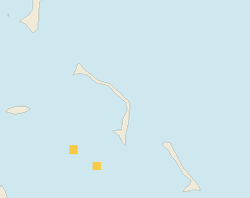 Satellite floating-algae map near Eleuthera, Jun 2026 (opens full map image in a new tab)