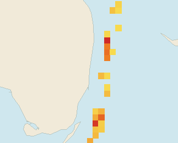 Satellite floating-algae map near Fort Lauderdale, Jun 2026 (opens full map image in a new tab)