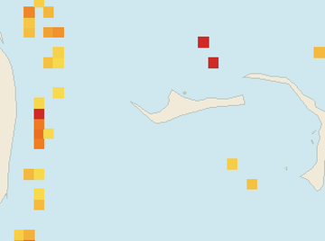 Satellite floating-algae map near Grand Bahama, Jun 2026 (opens full map image in a new tab)