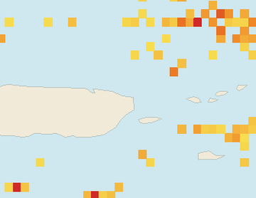 Satellite floating-algae map near Luquillo, Jun 2026 (opens full map image in a new tab)