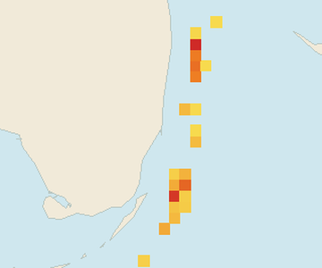 Satellite floating-algae map near Miami Beach, Jun 2026 (opens full map image in a new tab)