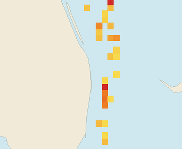 Satellite floating-algae map near Palm Beach, Jun 2026 (opens full map image in a new tab)