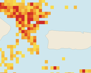 Satellite floating-algae map near Rincon, Jun 2026 (opens full map image in a new tab)