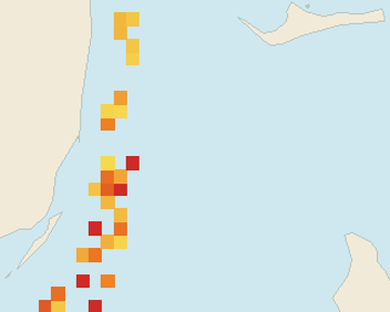Satellite floating-algae map near Bimini, Jul 2026 (opens full map image in a new tab)