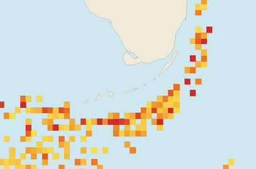 Satellite floating-algae map near Florida Keys, Jul 2026 (opens full map image in a new tab)