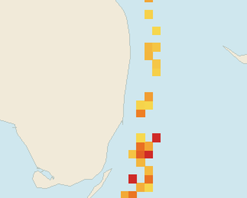 Satellite floating-algae map near Fort Lauderdale, Jul 2026 (opens full map image in a new tab)