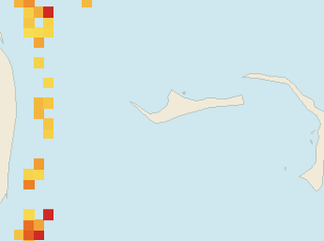 Satellite floating-algae map near Grand Bahama, Jul 2026 (opens full map image in a new tab)