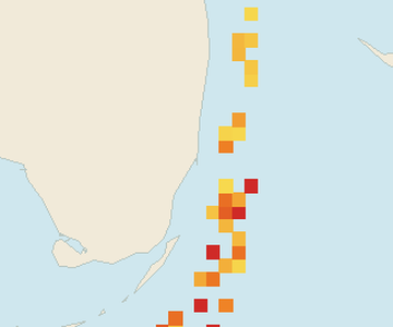 Satellite floating-algae map near Miami Beach, Jul 2026 (opens full map image in a new tab)