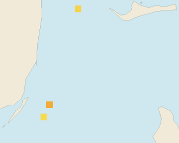Satellite floating-algae map near Bimini, Aug 2026 (opens full map image in a new tab)