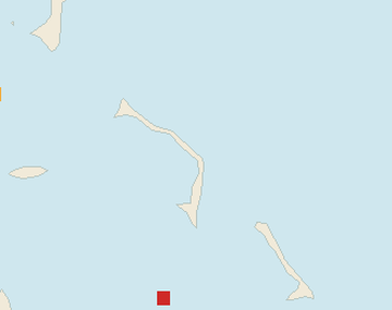 Satellite floating-algae map near Eleuthera, Aug 2026 (opens full map image in a new tab)