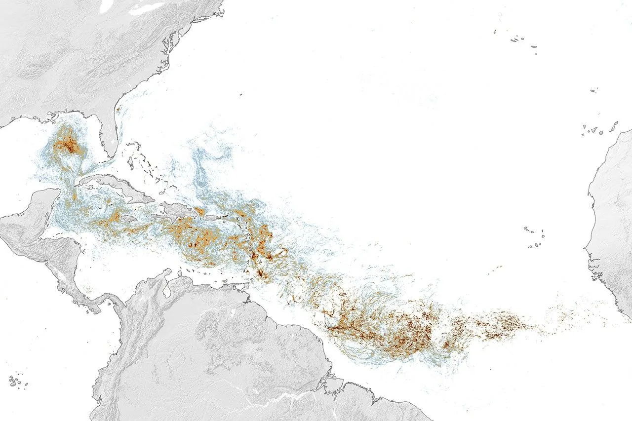 Satellite map of the Atlantic showing sargassum density stretching from West Africa through the Caribbean into the Gulf, June 2026